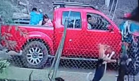 Sujeto causa muerte lomito al arrojarlo a predio lleno de perros en Edomex