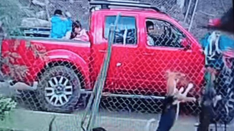 Sujeto causa muerte lomito al arrojarlo a predio lleno de perros en Edomex
