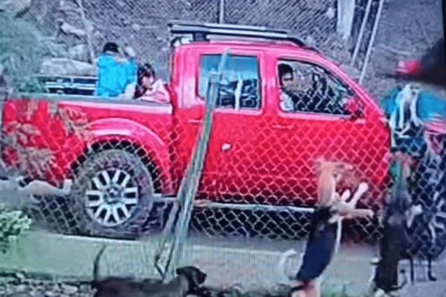 Sujeto causa muerte lomito al arrojarlo a predio lleno de perros en Edomex Sujeto causa muerte lomito al arrojarlo a predio lleno de perros en Edomex