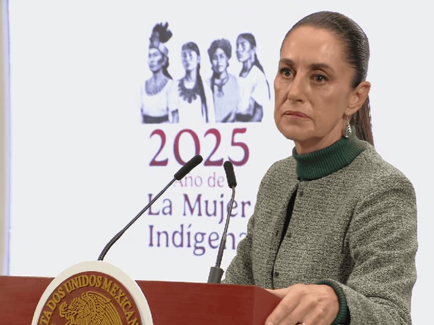 Reforma electoral de Sheinbaum perfilaría dar menos dinero a partidos y eliminar pluris Reforma electoral de Sheinbaum perfilaría dar menos dinero a partidos y eliminar pluris