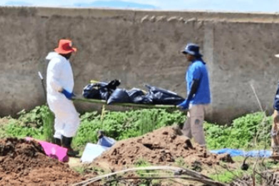 Colectivo de buscadores suma 33 bolsas con restos humanos localizadas en Zapopan, Jalisco Colectivo de buscadores suma 33 bolsas con restos humanos localizadas en Zapopan, Jalisco