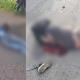 Mueren 2 pasajeros de motocicleta en Comalcalco tras ser impactados por taxi