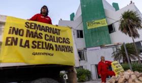 Greenpeace México toma oficinas de Semarnat en Cancún