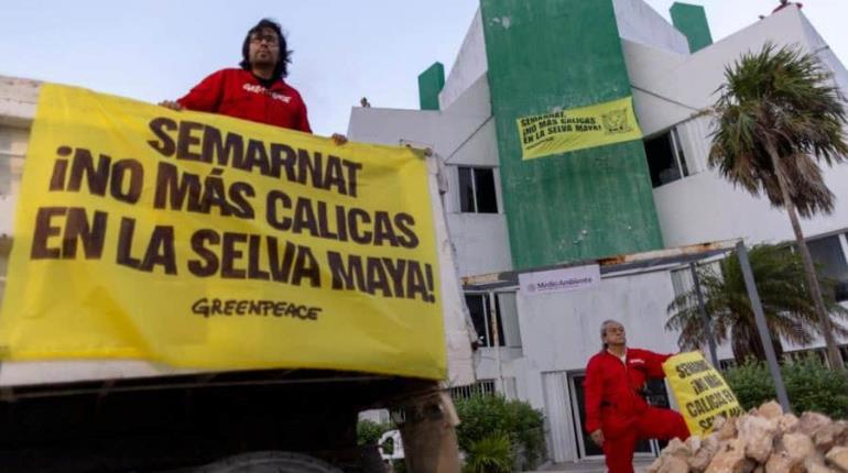 Greenpeace México toma oficinas de Semarnat en Cancún