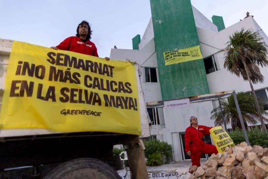 Greenpeace México toma oficinas de Semarnat en Cancún Greenpeace México toma oficinas de Semarnat en Cancún