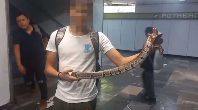 Detienen a joven por ingresar con una serpiente a estación del Metro en CDMX