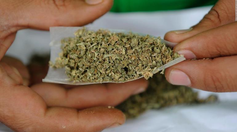 Aseguran 84 kilos de marihuana y un vehículo en Jalpa