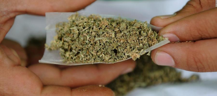 Aseguran 84 kilos de marihuana y un vehículo en Jalpa Aseguran 84 kilos de marihuana y un vehículo en Jalpa
