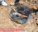 Hallan 54 bolsas más con restos humanos en terreno de Zapopan