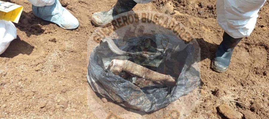 Hallan 54 bolsas más con restos humanos en terreno de Zapopan Hallan 54 bolsas más con restos humanos en terreno de Zapopan