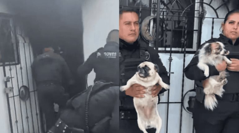 Policías rescatan a 3 perritos atrapados en incendio en Jalisco