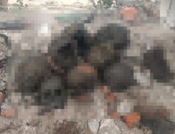 Osamentas encontradas en CDMX serían restos de un panteón, estima el gobierno