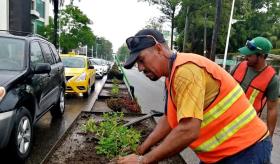 "Debe estar sustentado": Canirac sobre retiro de jardineras de Paseo Tabasco