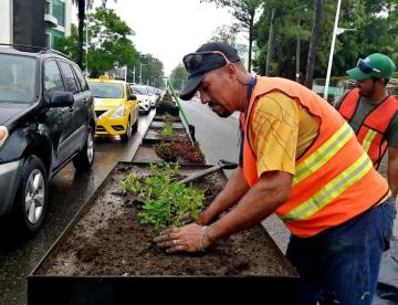 “Debe estar sustentado”: Canirac sobre retiro de jardineras de Paseo Tabasco