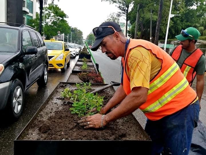 "Debe estar sustentado": Canirac sobre retiro de jardineras de Paseo Tabasco