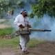 Del 14 al 18 de julio habrá operativos de fumigación contra dengue en Tabasco