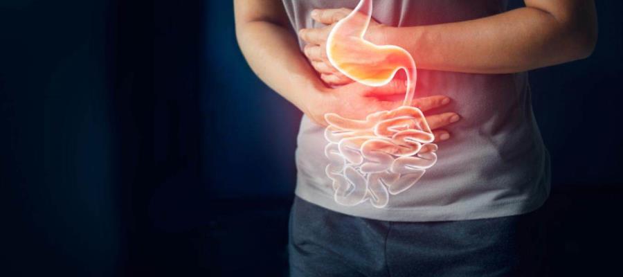 15 millones de personas nacidas entre 2008 y 2017 podrían padecer cáncer de estómago 15 millones de personas nacidas entre 2008 y 2017 podrían padecer cáncer de estómago