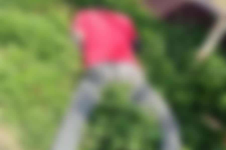 Ataque a balazos en una calle en Comalcalco deja un muerto Ataque a balazos en una calle en Comalcalco deja un muerto