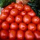 Secretarías de Economía y Agricultura califican de "injusto" arancel al tomate por parte de EE. UU.