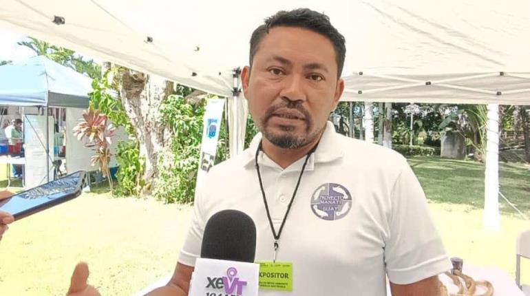Por falta de alimento, manatíes de ´Las Ilusiones´ pierden peso: Investigador