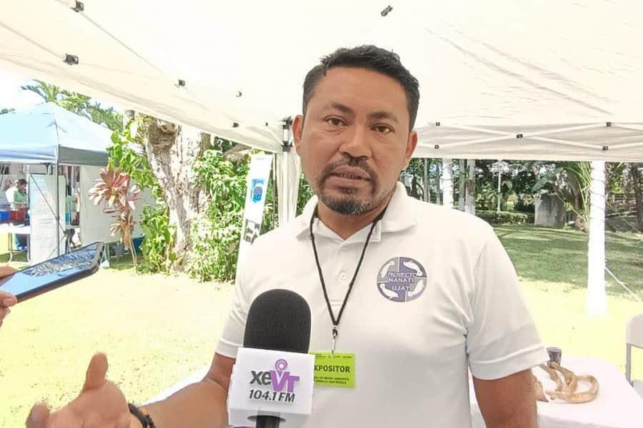 Por falta de alimento, manatíes de ´Las Ilusiones´ pierden peso: Investigador