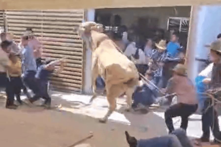 Toro embiste a asistentes a la enrama del Carmen en Nacajuca Toro embiste a asistentes a la enrama del Carmen en Nacajuca