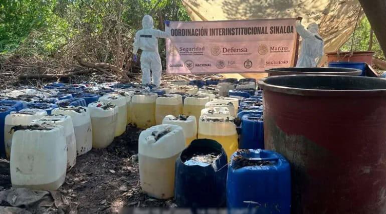 Desmantelan 6 narcolaboratorios en Sinaloa junto con casi 5 toneladas de droga