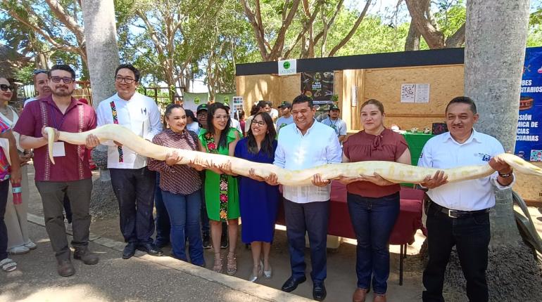 Inaugura gobernador May nuevo herpetario del Yumká