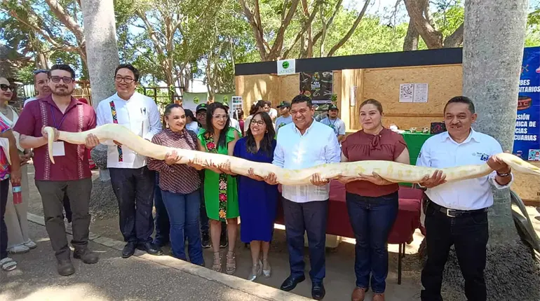Inaugura gobernador May nuevo herpetario del Yumká