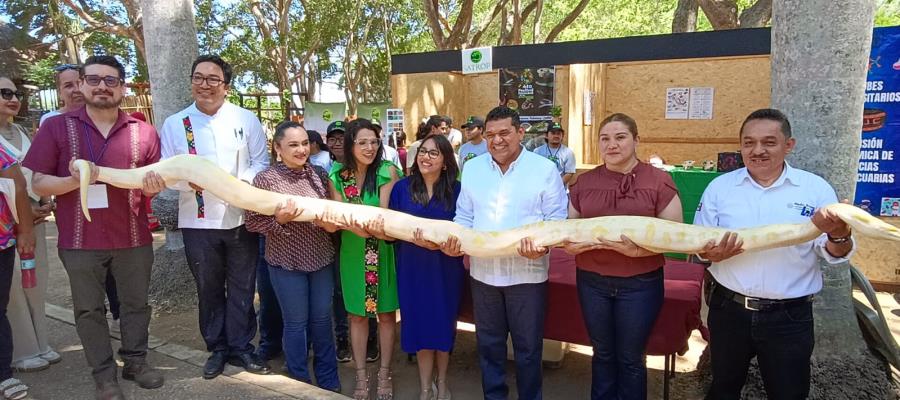 Inaugura gobernador May nuevo herpetario del Yumká Inaugura gobernador May nuevo herpetario del Yumká
