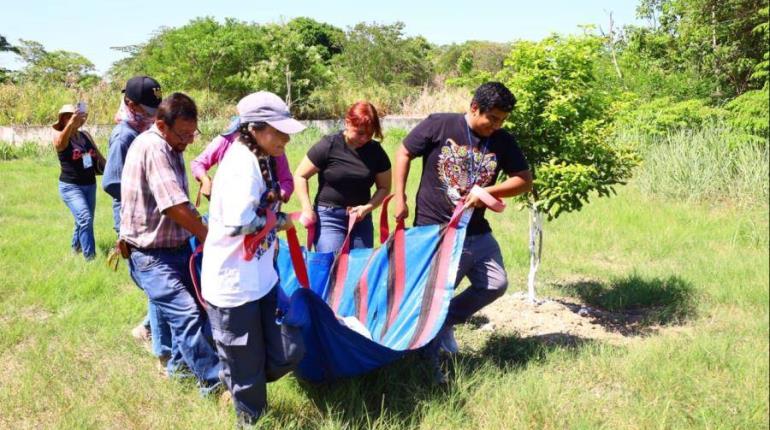 Capacita Centro a especialistas en traslado, necropsia, biopsia y cuidado de manatíes