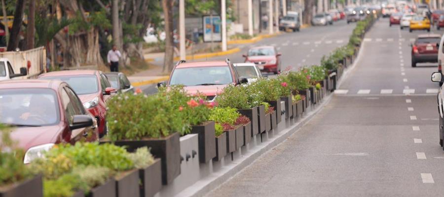 Retiro de jardineras de Paseo Tabasco se coordinará con SOTOP: alcaldesa Retiro de jardineras de Paseo Tabasco se coordinará con SOTOP: alcaldesa