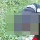 Fallecen policías tras impactar contra muro de contención en Sinaloa