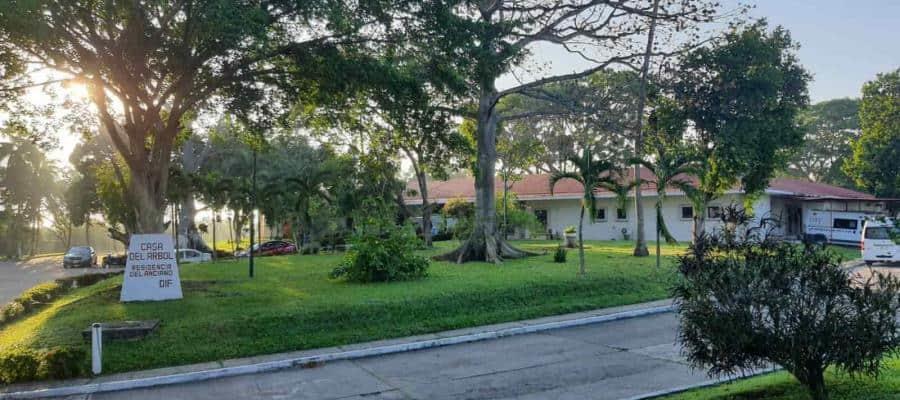 Casa del Árbol ampliará su capacidad; recibe rehabilitación de 14 mdp Casa del Árbol ampliará su capacidad; recibe rehabilitación de 14 mdp