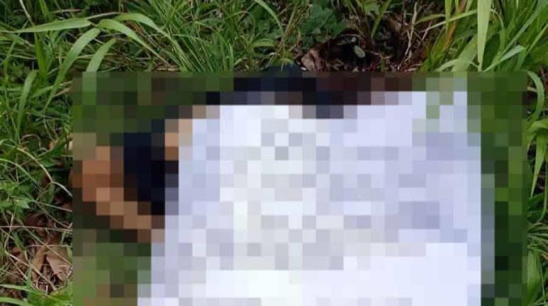 Ejecutan a presunto delincuente en ejido Habanero, Cárdenas