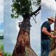 Tallan ceiba en Tenosique con personajes de la danza del Pochó y causa polémica