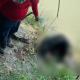Hallan restos humanos dentro de contenedor a orillas del río Samaria en Cunduacán