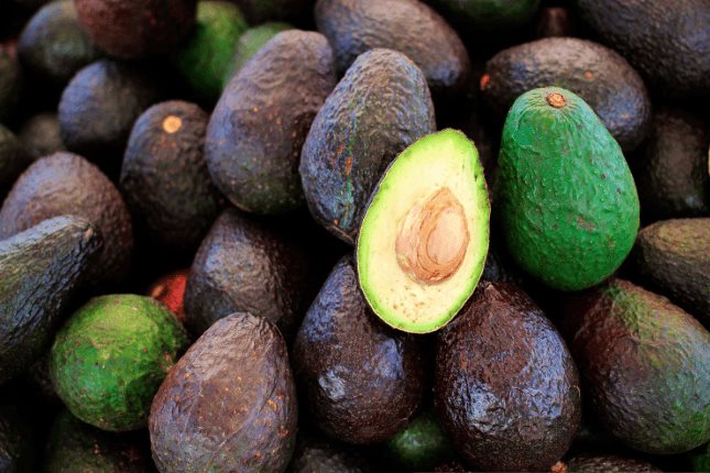 Brasil autoriza importación de aguacate mexicano en medio de tensiones arancelarias con EE. UU. Brasil autoriza importación de aguacate mexicano en medio de tensiones arancelarias con EE. UU.