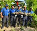 Capturan cocodrilo de 2 metros en Boquerón, Centro
