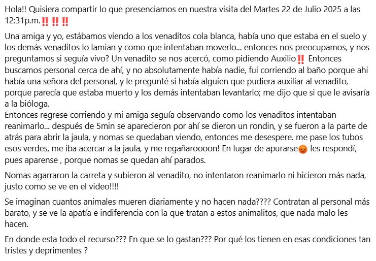 imagen-cuerpo imagen-cuerpo