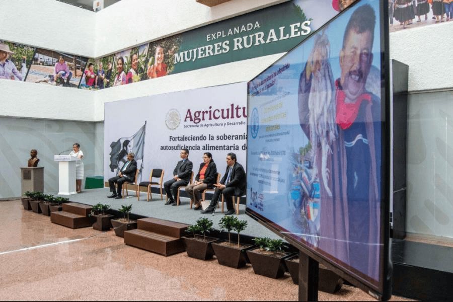 IMIPAS presenta diagnóstico sobre la acuacultura rural en México