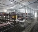 "No lo hab&iacute;an reportado" dice Sheinbaum sobre reporte de uso de jaulas a migrantes en Alligator Alcatraz