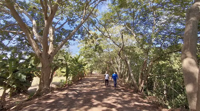 6 áreas naturales protegidas del estado requieren intervención para su rescate: Semades