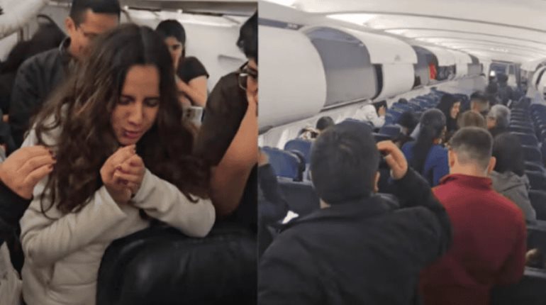 Retrasa 3 horas vuelo nacional en Perú tras perder a su hámster en un avión