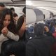 Retrasa 3 horas vuelo nacional en Perú tras perder a su hámster en un avión