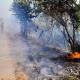 Rechaza Protección Civil que incendios de pastizales estén fuera de control