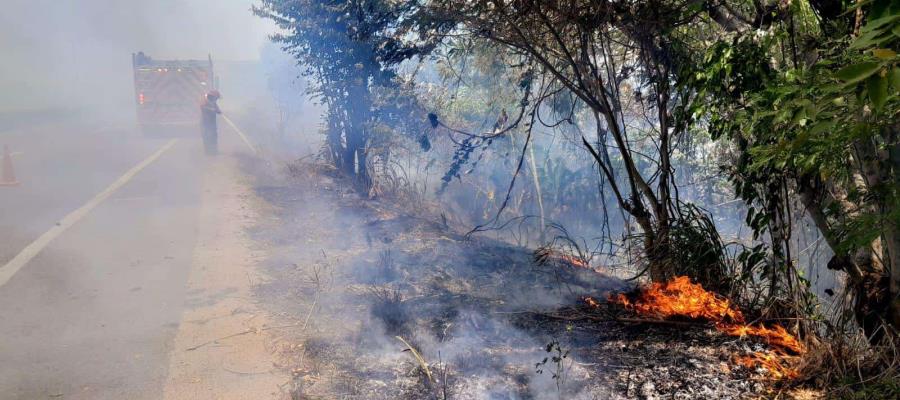 Rechaza Protección Civil que incendios de pastizales estén fuera de control Rechaza Protección Civil que incendios de pastizales estén fuera de control