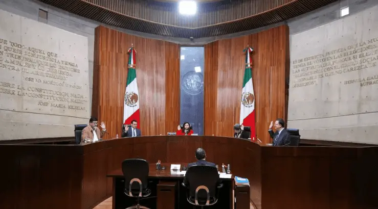 "Segundos lugares" de elección judicial piden el espacio de ganadores que no cumplieron con promedio