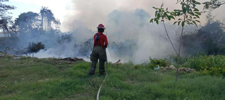 Califica Osuna como "atípicos" los incendios registrados este mes en Centro Califica Osuna como "atípicos" los incendios registrados este mes en Centro