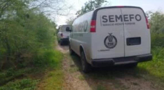Muere hombre tras ser atacado por cocodrilo en Sinaloa Muere hombre tras ser atacado por cocodrilo en Sinaloa